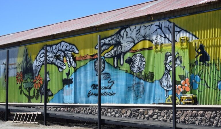 ¡Imperdible! ¡Hoy y mañana, los últimos chivos y corderos de la Línea Sur!