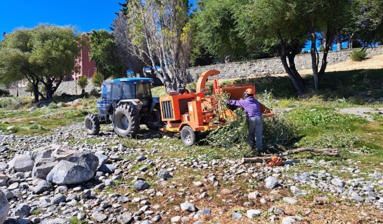 Municipio está limpiando la costa céntrica del lago Nahuel Huapi